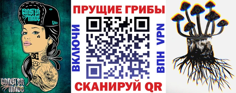 нарко площадка формула  где купить наркотик  Саров  Галлюциногенные грибы Psilocybine cubensis 